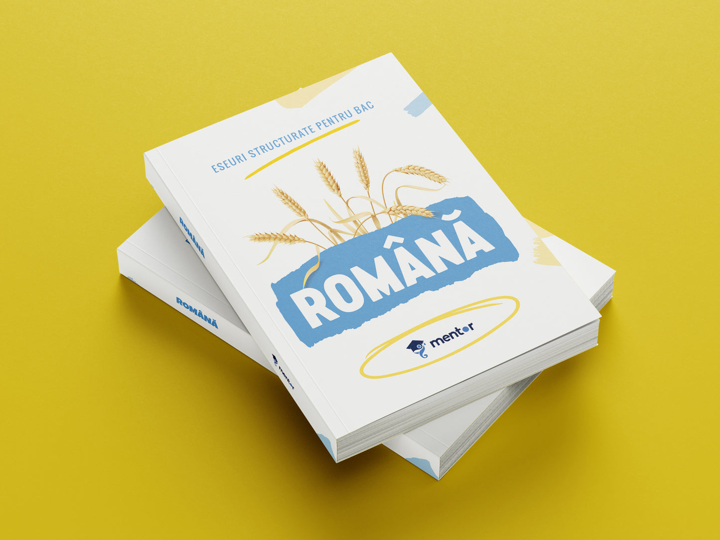 Carte Bacalaureat Română